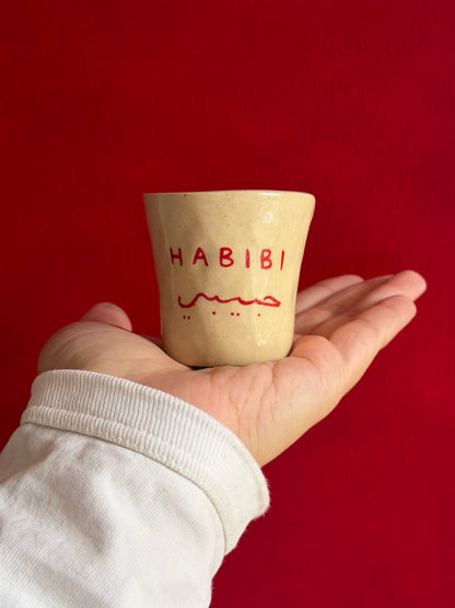 Dual Habibi and Habibti cups