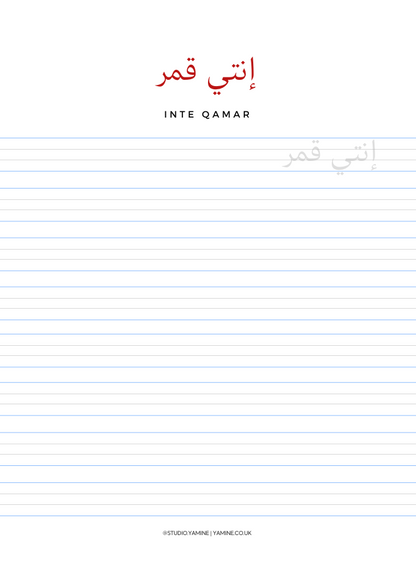 IN ARABIC WE SAY: PRACTICE JOURNAL