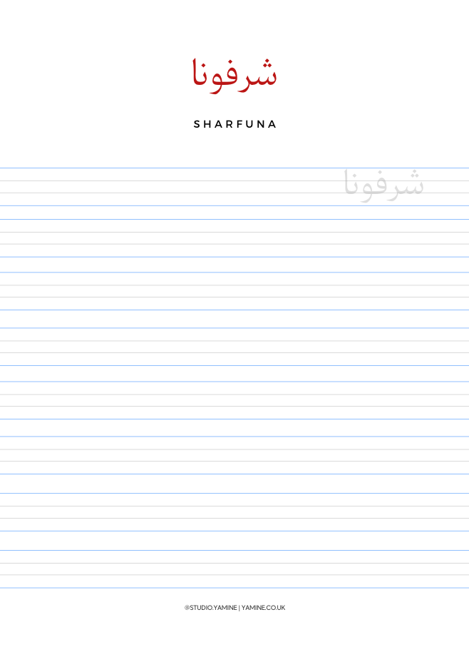 IN ARABIC WE SAY: PRACTICE JOURNAL