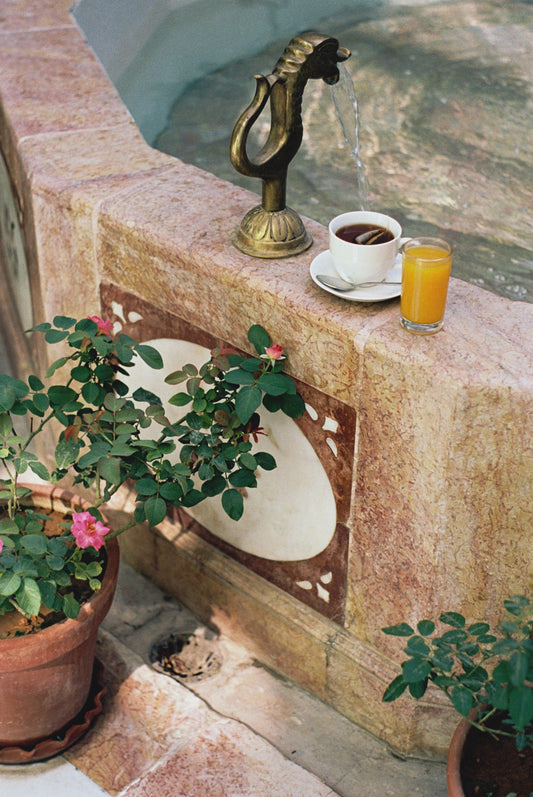 Arab culture damascene fountain / fine art print